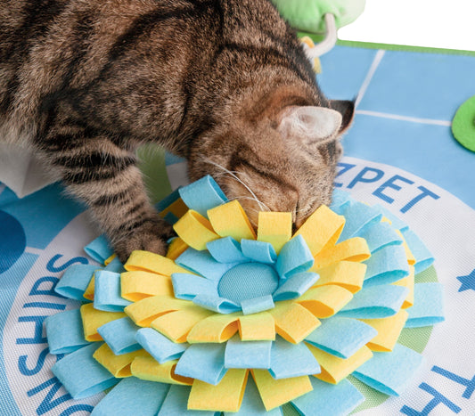Tennis Court Snuffle Mat