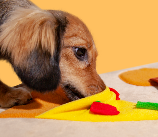 High Calories Snuffle Mat
