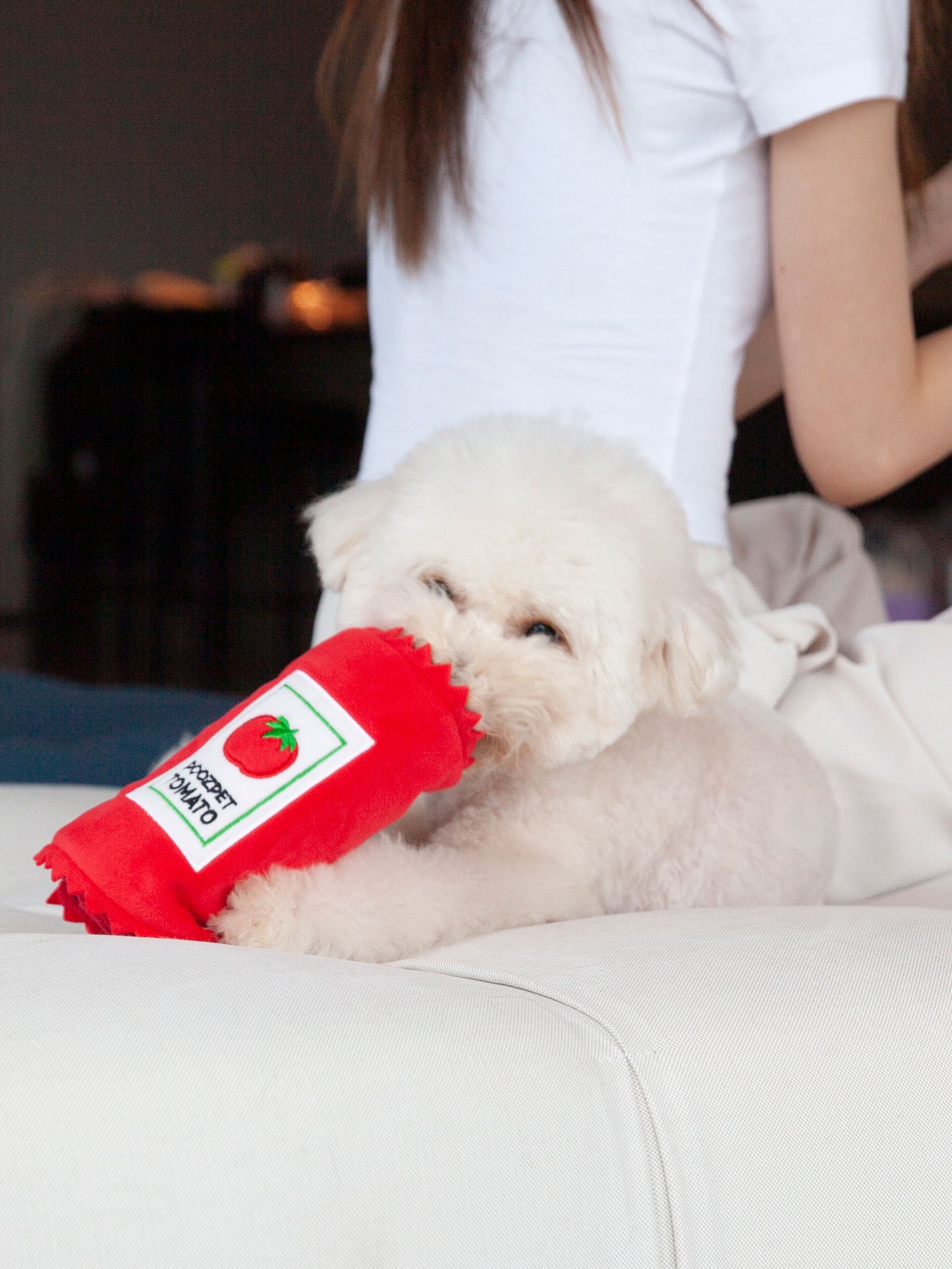 Ketchup
