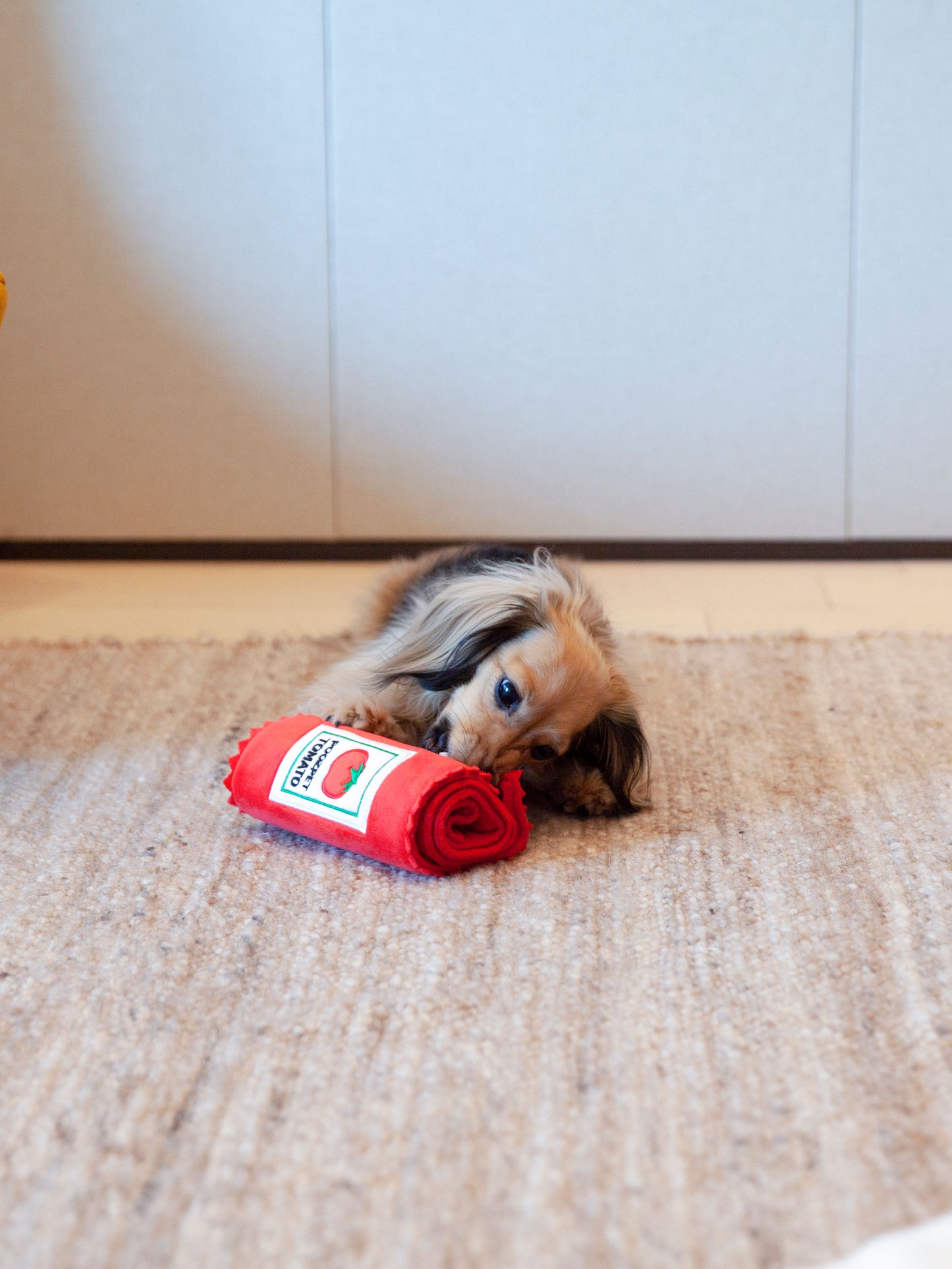 Ketchup