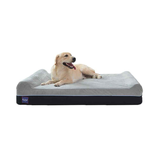 Double Pillow Dog Bed