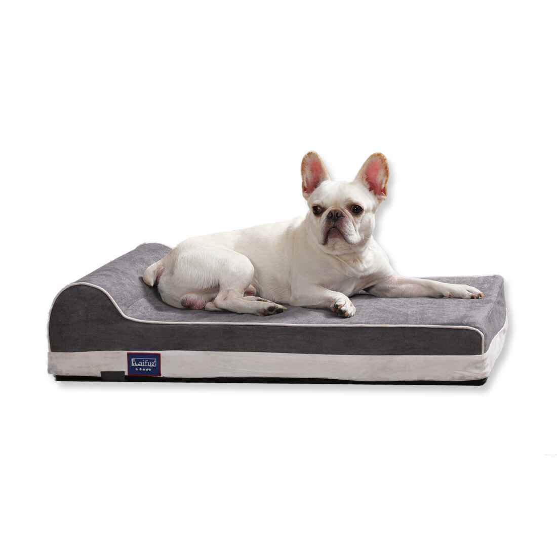 Single Pillow Orchid Dog Bed