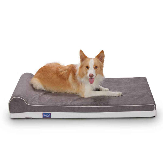 Single Pillow Orchid Dog Bed