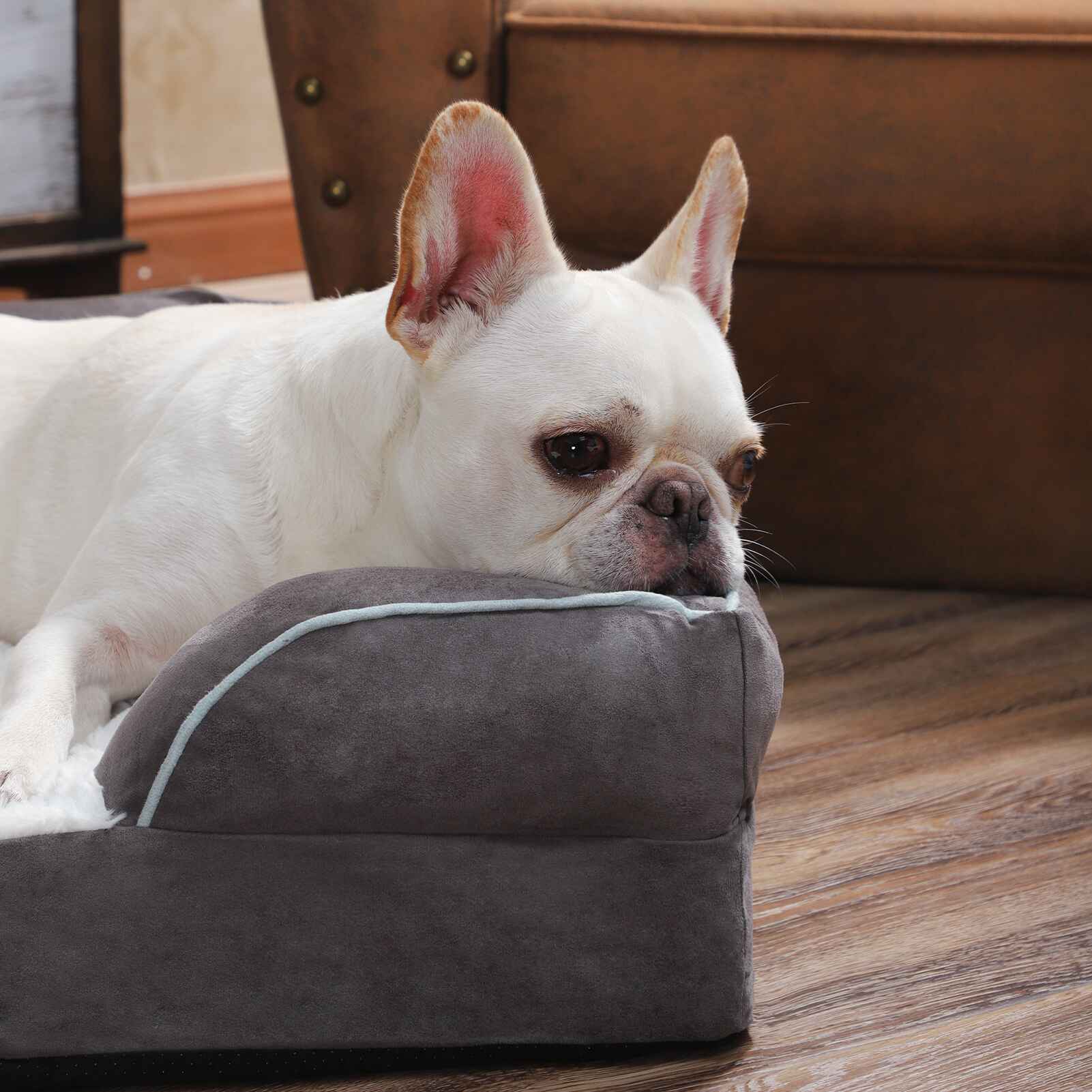 Orthopedic Memory Foam Dog Sofa Jaspets