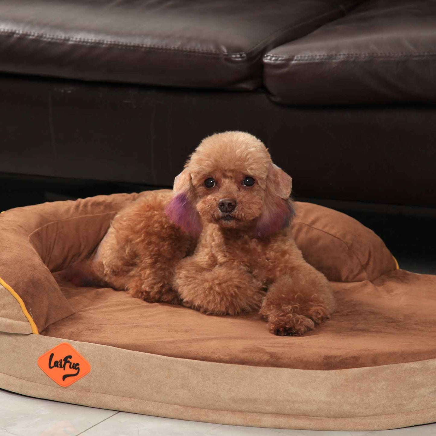 Oval Dog Bed